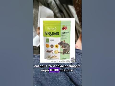 корм GRUMS для крыс |🌟 наш тг канал: @RatsMy | 💬 ссылка в комментариях ...