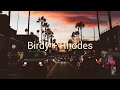 BIRDY+RHODES | Let it all go | slowed music | slowly calmed