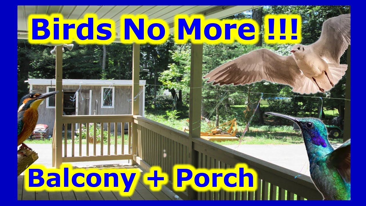 No More Bird Poops - Easy Diy Birds Deterrent Repellent Prevention For Porch Deck Balcony