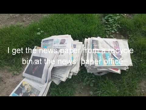 Video: How To Arrange A Newspaper For A Garden