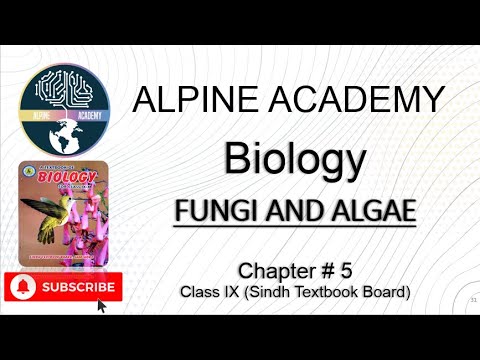 Biology Class Ninth (IX) | Chapter 5 FUNGI AND ALGAE | Sindh Textbook ...