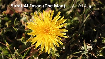 Surat Al-Insan - سورة الانسان | Idriss Abkar إدريس أبكر
