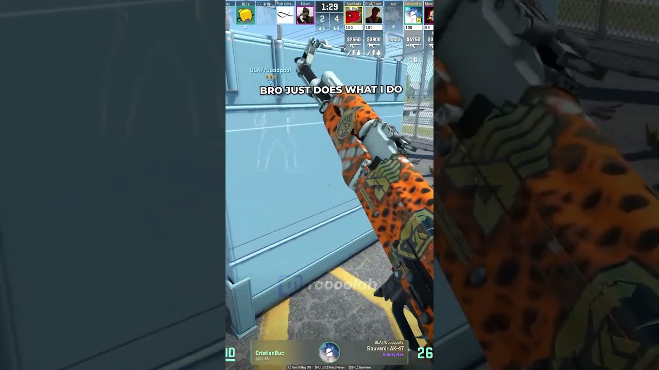 What Did He Think Was Going to Happen? 😭