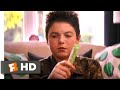 Good Boys (2019) - That's a Tampon Scene (2/10) | Movieclips