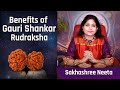 Gauri shankar rudraksha  divine union of shiva shakti  evoke love  harmony in relationships