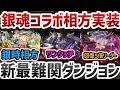 坂田銀時に相方リーダー実装!!暗黒ツクヨミドラゴン性能解説!最新情報まとめ!【パズドラ】