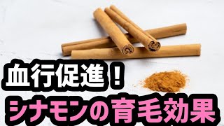 【血流促進だ!】シナモンで育毛だ!20210822
