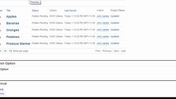 IBM Web Content Manager 8.0: Project Enhancements