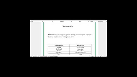 Data Entry Operations (336)  Practical File April- 2025 #nios #niospracticalfile
