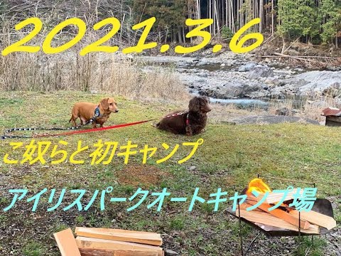66 わんこ達と初キャンプいんアイリスパークオートキャンプ場 Youtube 66 わんこ達と初キャンプいんアイリスパークオートキャンプ場 Youtube