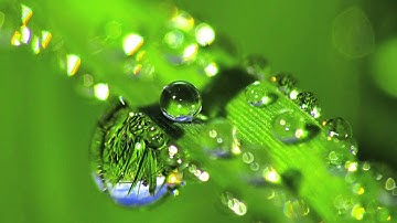 Sonĝo 7 - Vis 7 - Dream 7