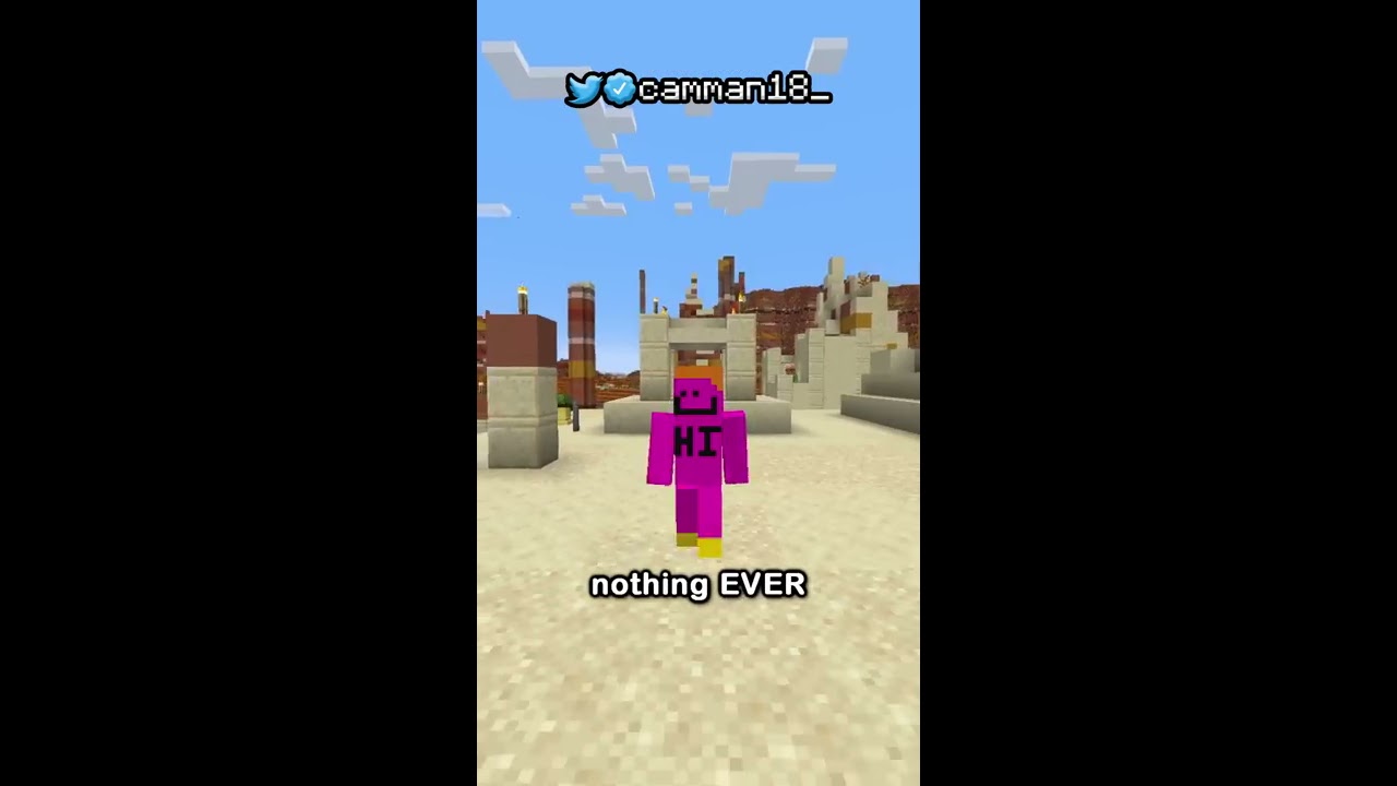 I Beat Minecraft With NOTHING