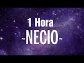 [1 Hora ] Romeo Santos - Necio (Letra_Lyrics) ft. Santana