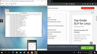 Lab 6 : NSA Subject (du, df, free, ps, top, kill & ping command)