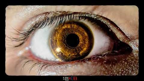 📸 Reality Through Infinite Frames | A Visual Journey of Creation and Perception ✨