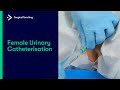 Female Urinary Catheterisation | Everything You Need To Know To Perform This Essential Skill