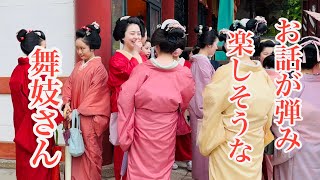 2024年5月1日 京都祇園 お話しが弾み楽しそうな舞妓さんたち Maiko in Gion, Kyoto 【4K】