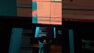 Duino Coin flashing esp