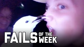 Bird is the Word: Fails of the Week (August 2020) | FailArmy