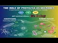 The Role of Protozoa as Microbes: Importance in Ecosystems & Human Health | BSc Zoology Sem 1