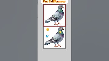 #372 🤔💥Find 3 differences 🤔💥#shorts #viral #puzzle #find #braingame @aaochalein6256