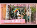 GENDER REVEAL! Jongetje of Meisje? | Kim Kötter