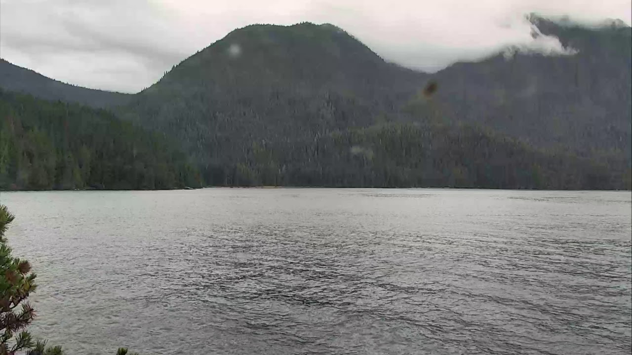 Robson Bight Orca Lookout 07-19-2018 