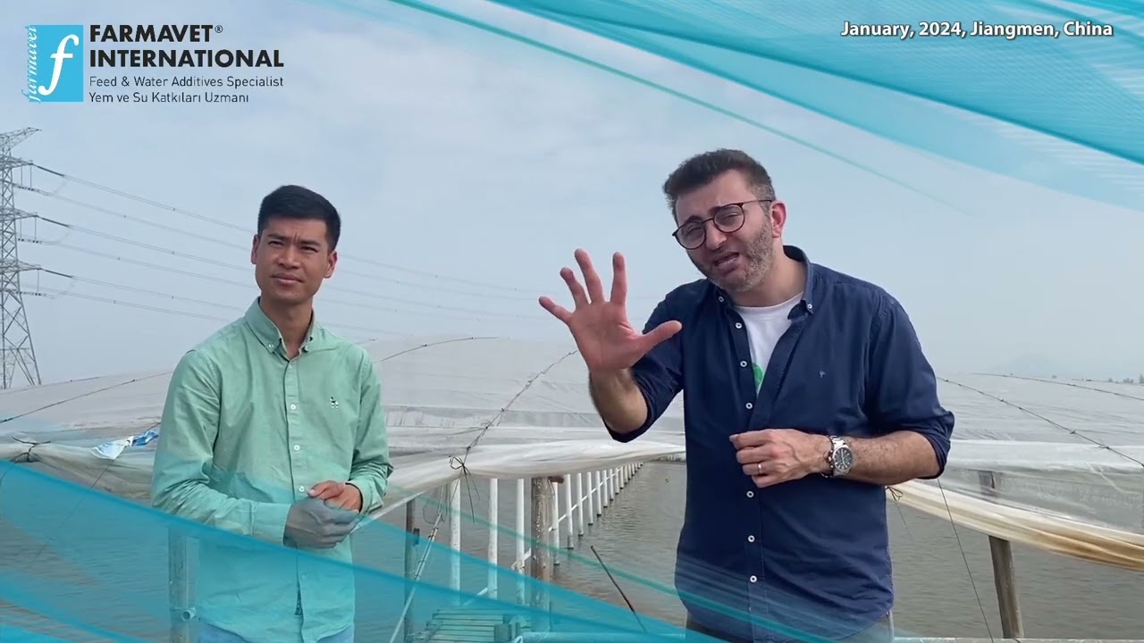 Shrimp farm visits at Jiangmen, China January 2024