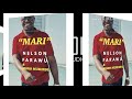 Nelson Farawu Mono Mukundu MARI Nelson Farawu Mono Mukundu MARI
