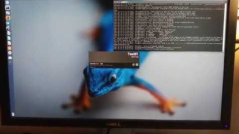 UE4 Project Load Time on Linux