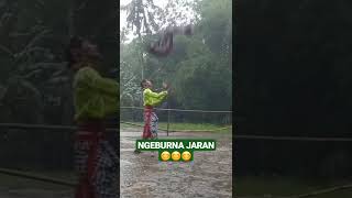 Download Lagu NGEBURNA JARAN \ MP3