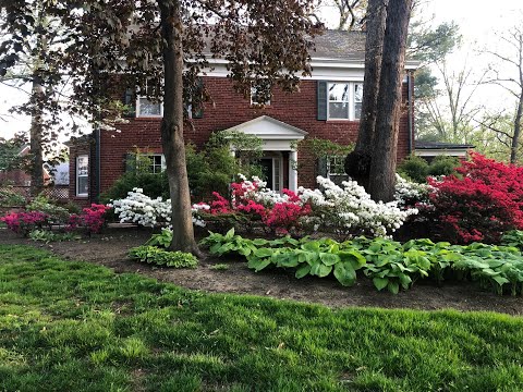 7420 Teasdale Avenue, St Louis, MO home video tour