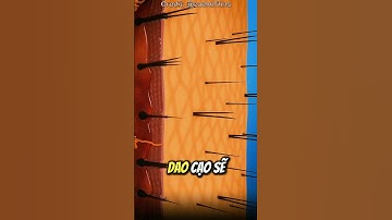 Vì Sao Râu Mọc Lại Dày Hơn 🤔 (Sau Khi Cạo)