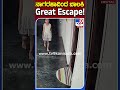 Girl's miraculous escape from venomous snake at doorstep, shocking visuals