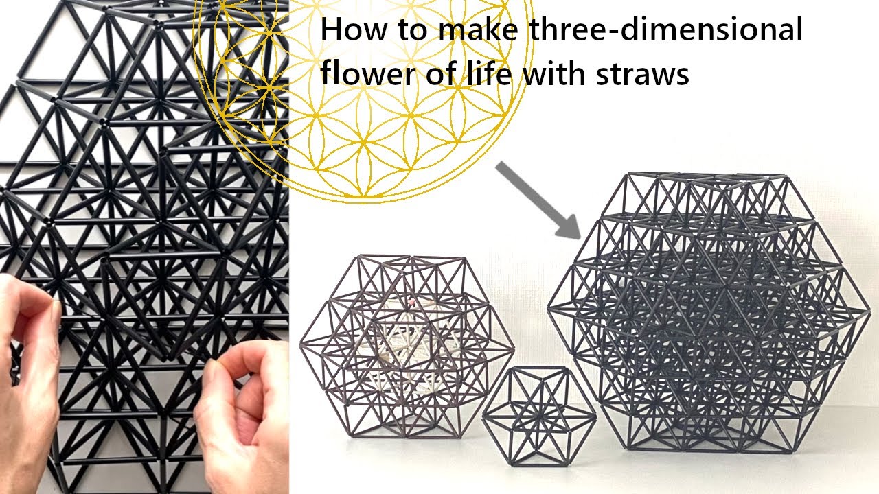 ヒンメリ フラーレン＋3D生命の樹 ヒンメリ フラーレン＋3D生命の樹