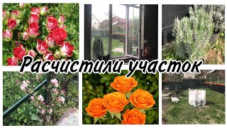 🏡Строим дом🌺Высадила розы✨Голый участок😂2023г.апрель