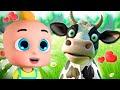 Wheels on the Bus, Old Mac Donald, ABC song ,Baby Bath Song, CoComelon, Nursery Rhymes & Kids Songs