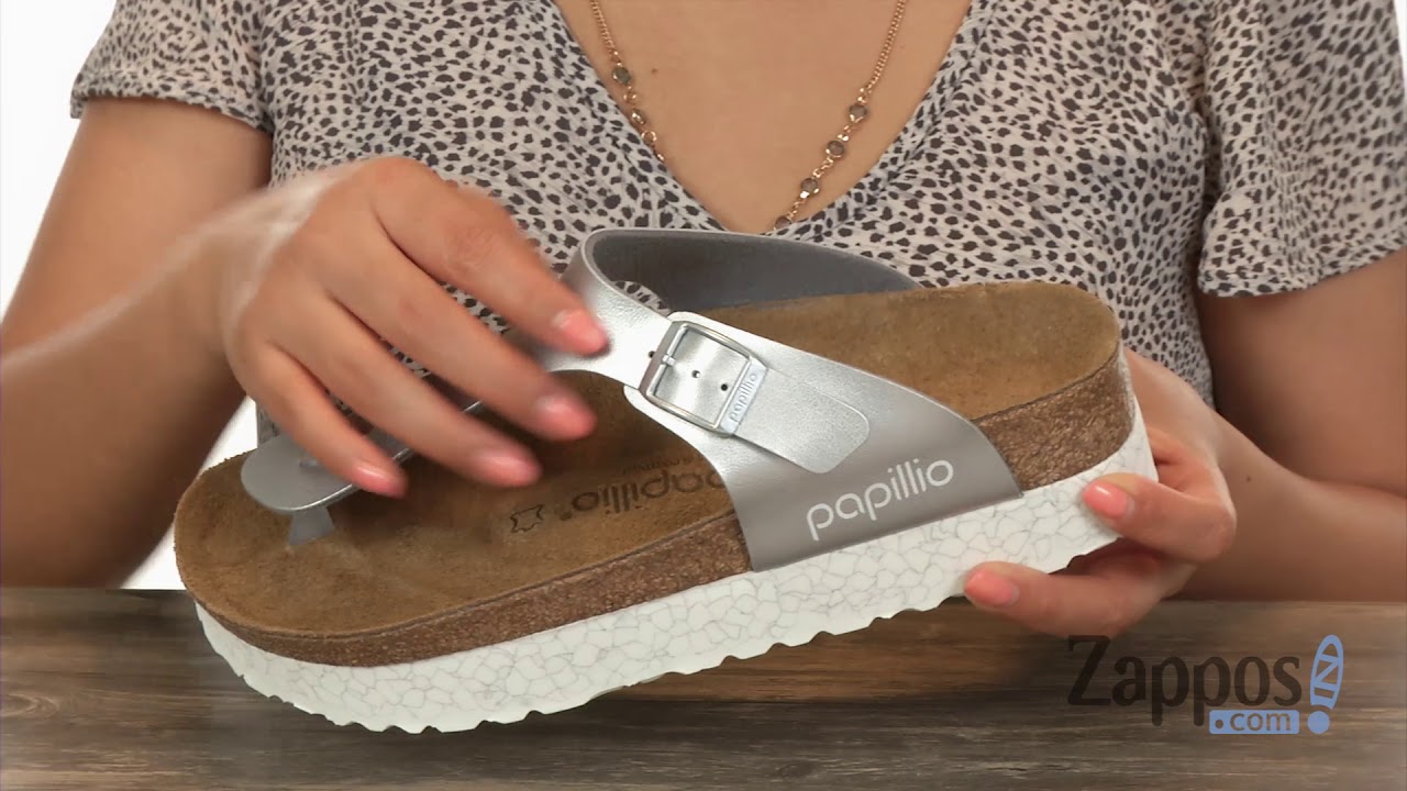 zappos papillio