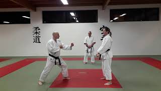 Bunkai Heian Sandan