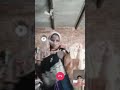Mewati  call recording  sexy funny video 2021❎