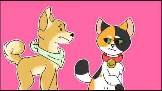 Cat vs Dog - Part 3