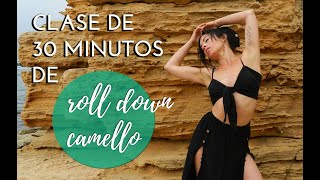 CLASE DE 30 MINUTOS I CAMELLO O ROLL DOWN