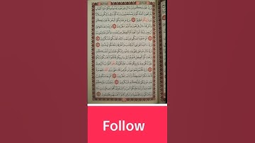 القران الكريم #القران_الكريم #المصحف #الله #تلاوة_خاشعة