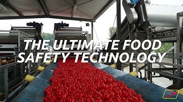 Raytec Vision presents its technologies for food sorting and inspection