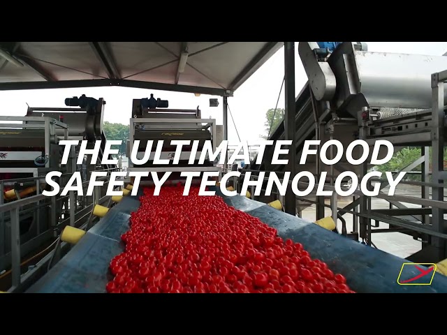 Raytec Vision presents its technologies for food sorting and inspection class=