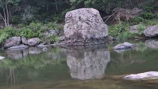 자연의소리 물소리샛소리에 빠지다