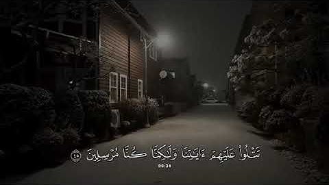 جزء 9 | تلاوة هادئة آيات من سورة القصص بصوت جداً جميل  - محمد بو حسون ✨ .