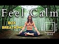5 minute guided box breathing for stress  anxiety i alt version pranayama
