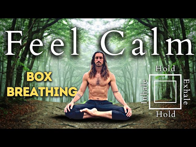 5 Minute Guided Box Breathing For Stress & Anxiety I Alt Version (Pranayama) class=