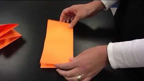 Science foldable